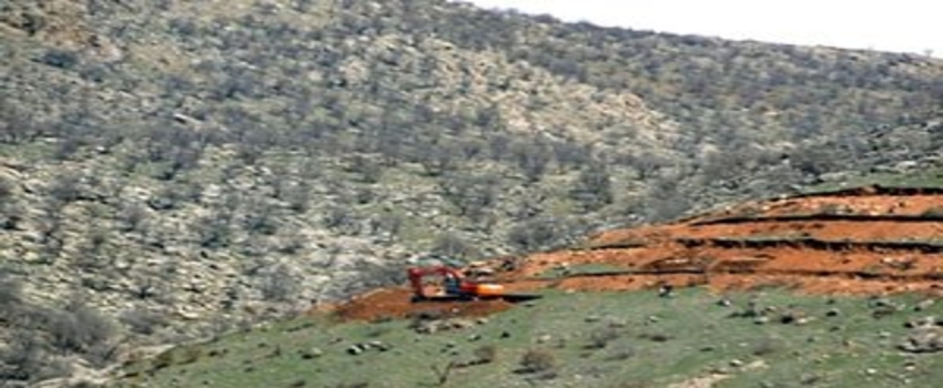 Siirt`te Dağlık Alanlar Fıstık Bahçelerine Dönüştürüldü