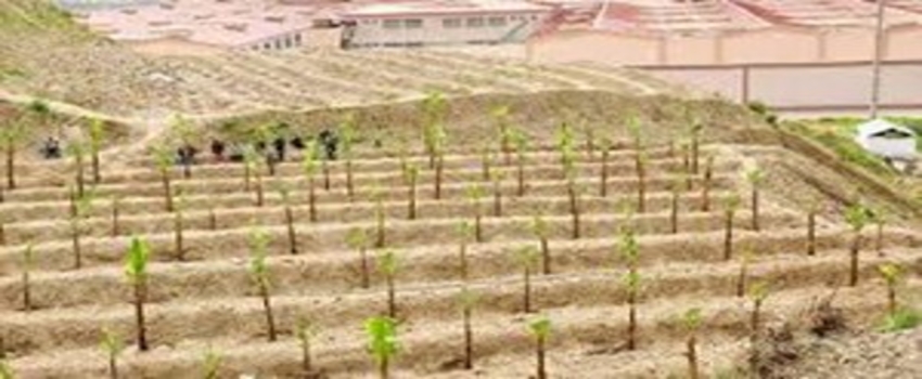 1000 Kişilik Tarım Cezaevi İçin İlk Kazma Vuruldu