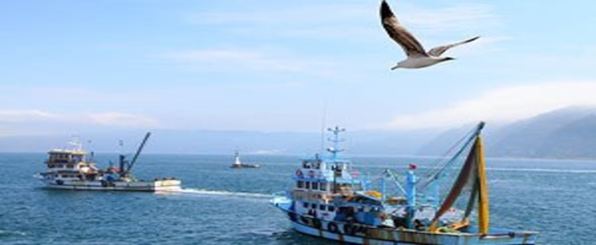 Umduğunu Bulamayan Balıkçı Kıyıya Erken Çekiliyor