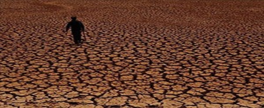 Vietnam`da Kuraklığın Vurduğu Çiftçilere Destek