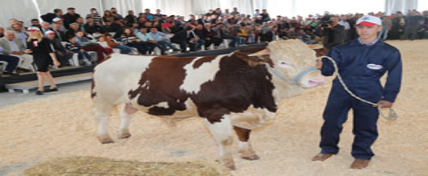 Burdur Tarım Ve Hayvancılıkta Zirveye Oynayacak
