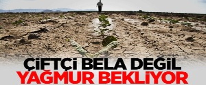 Çiftçi Bela Değil Yağmur Bekliyor
