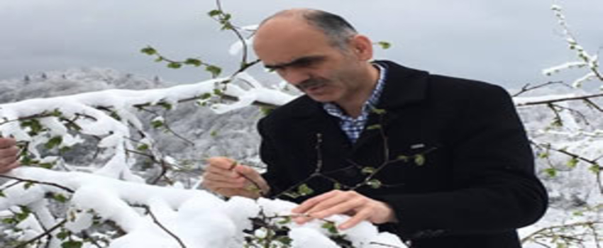 Fındık Üreticileri Bu Sezondan Umudunu Kesti