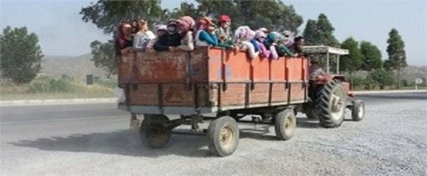 Hayrabolu Sgk`dan Çiftçilere Bilgilendirme Toplantısı