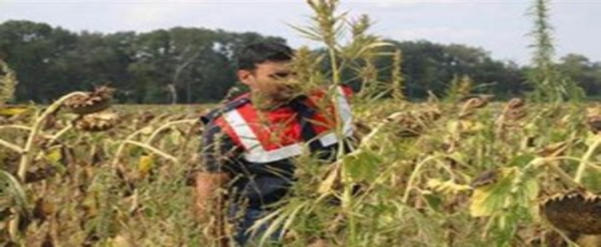 Sakarya`da Tarım ve Asayiş Masaya Yatırıldı