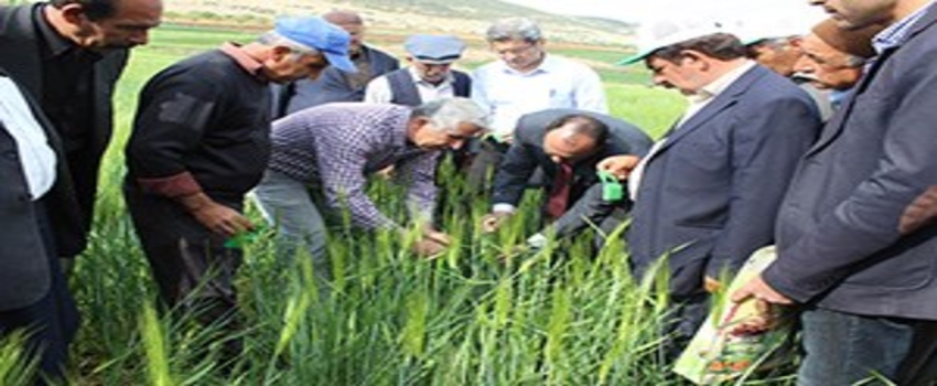 Adıyaman`da Süne İle Mücadele Başladı
