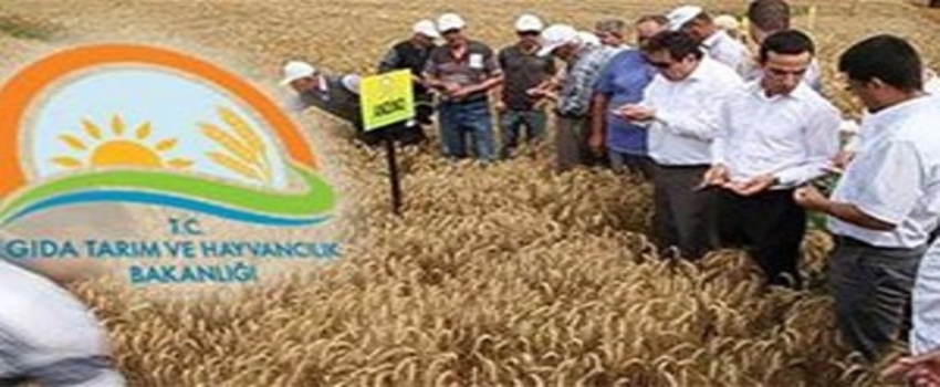 Urfa`ya 56 Mühendis İle 25 Veteriner Alınacak