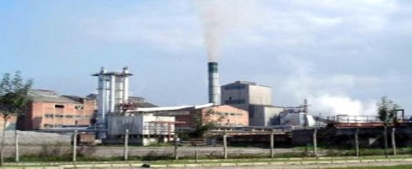Tarım Kredi Kooperatifi, Adapazarı Şeker Fabrikası`nı Satın Almak İstiyor