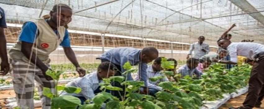 Tika`dan Somali`deki Anadolu Ziraat Fakültesine Destek