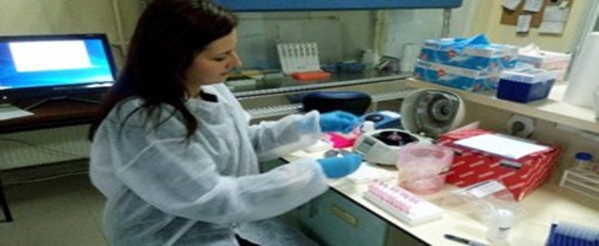 Domates Halkalı Leke Virüsü Araştırılması Tübitak Projesi Sonuçlandı