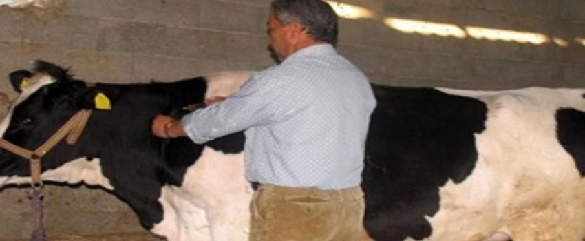 Ereğli`de Karantina Uygulaması Başlatıldı