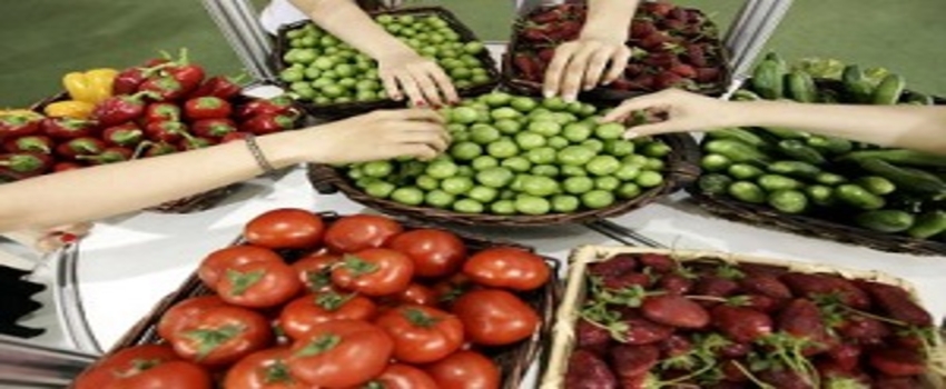 Gıdalarımız Ne Kadar Güvenilir?