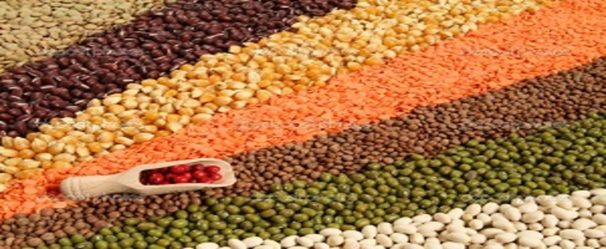 Kırklareli`de `Hububat Hasat Komisyonu` Toplantısı