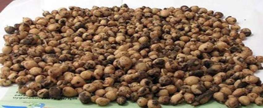 Ormandan Topladı, 40 Bin Lira Ceza Ödeyecek