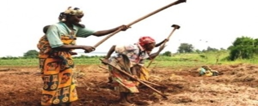 Tarımın Yeni Adresi Afrika