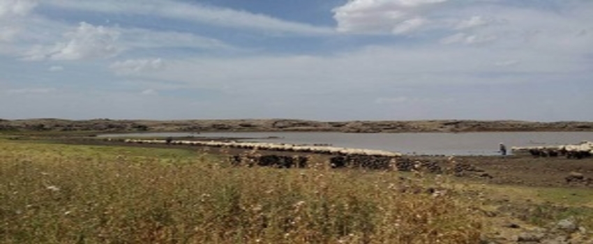 Tarımsal Altyapı Çalışmaları Sürüyor