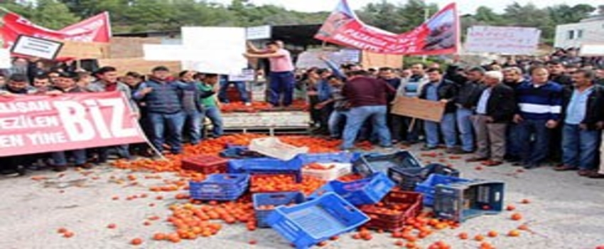 Küçük Üreticilere Darbe Tarım Şirketlerine Teşvik