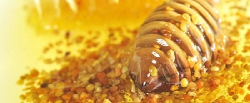 Kestane Balı, Üreticisini Sevindirdi