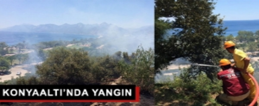 Manavgat`ta ve Konyaaltı`nda Yangın