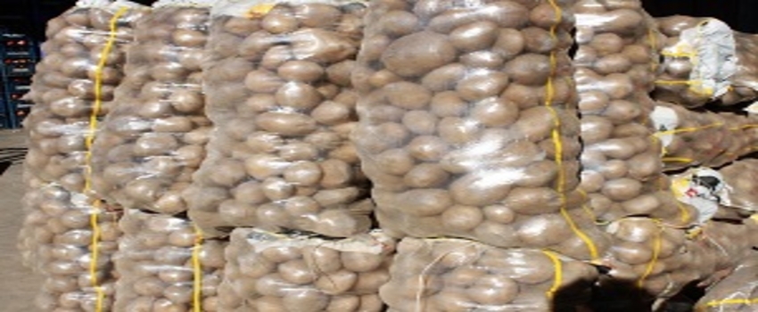 Suriye`ye 1000 Ton Patates Gitti