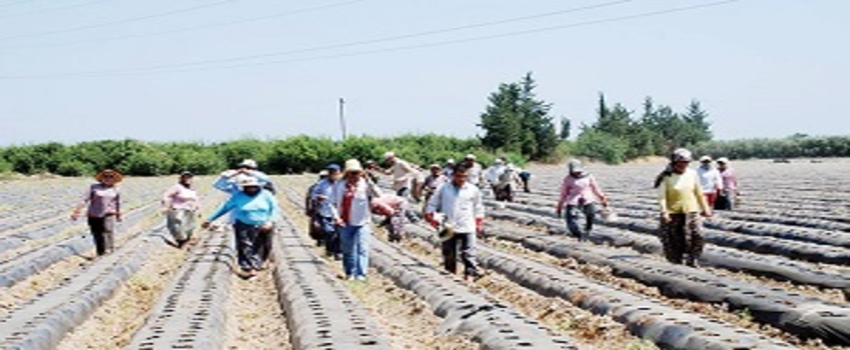 Tarımcılar Unutulmamalı