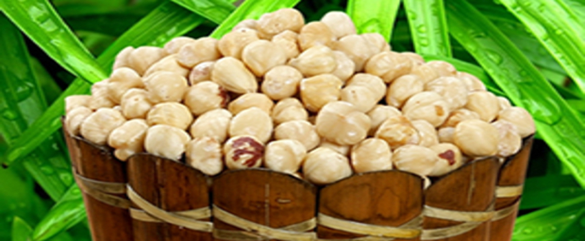 Fındık Fiyatı 20 TL`nin Üzerine Çıkacak