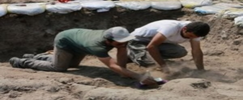 Anadolu`nun En Eski Tahıl Örnekleri Bulundu