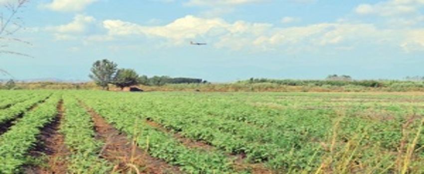 Adana`da Tarım Açık Cezaevi Yapılacak