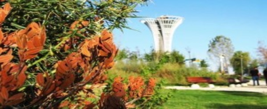1200 Dönümlük EXPO, Beklenen İlgiyi Görmedi