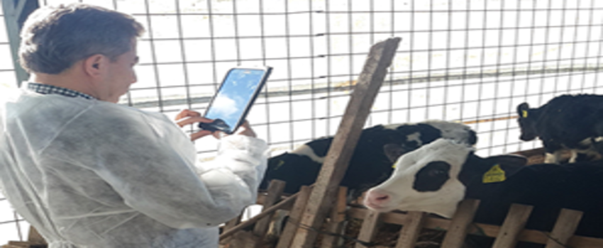 Hasar Yönetiminde Tablet Teknolojisi