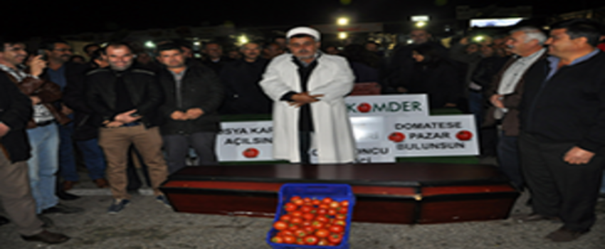 Antalya`da Çiftçiler Domatesin Cenazesini Kaldırdı