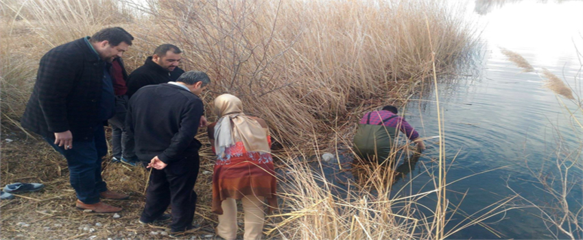 Ceyhan Nehri`nde Balık Ölümleri İnceleniyor