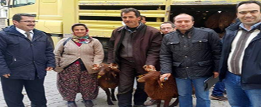 Genç Çiftçi Destekleri Devam Ediyor