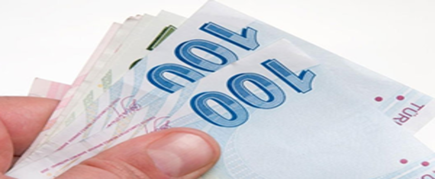Kişi Başına Düşen Milli Gelir 2015`de 29 Bin 885 Oldu