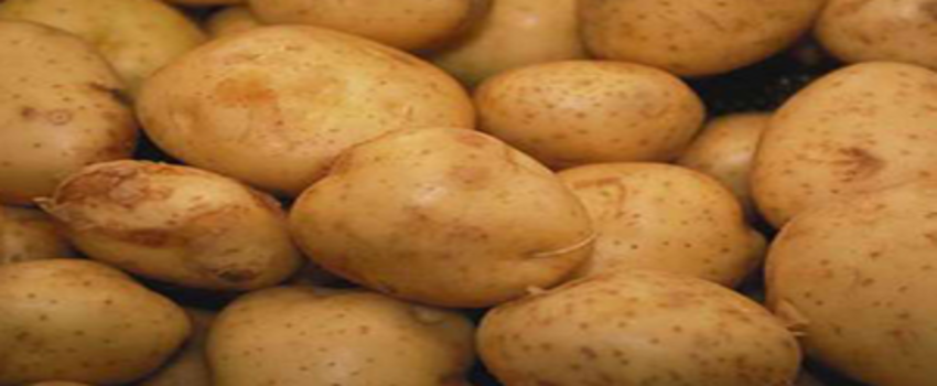 Niğde İl Gıda Tarım ve Hayvancılık Müdürü Asım Baş;`Patates Tüketin`