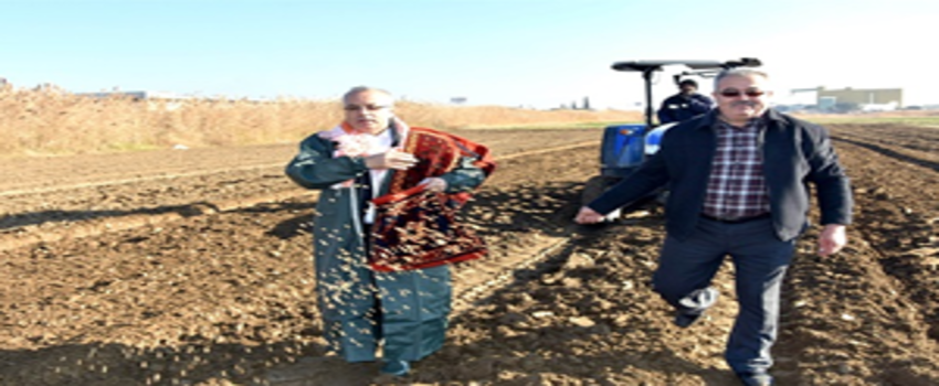Yerli Tohumdan Ekmek Üretilecek