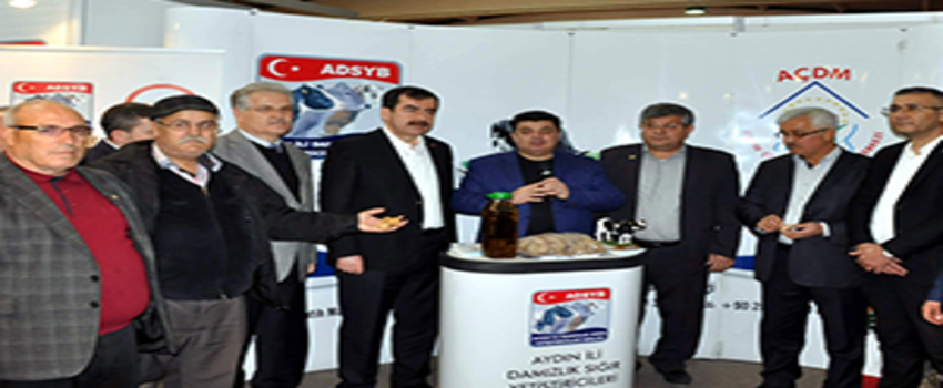 Aydın`a Damızlık Düve Yetiştiriciliği Merkezi Kurulacak