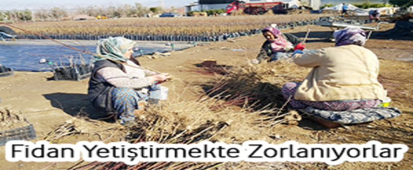 Kooperatif Ortaklarının Yüzleri Gülüyor