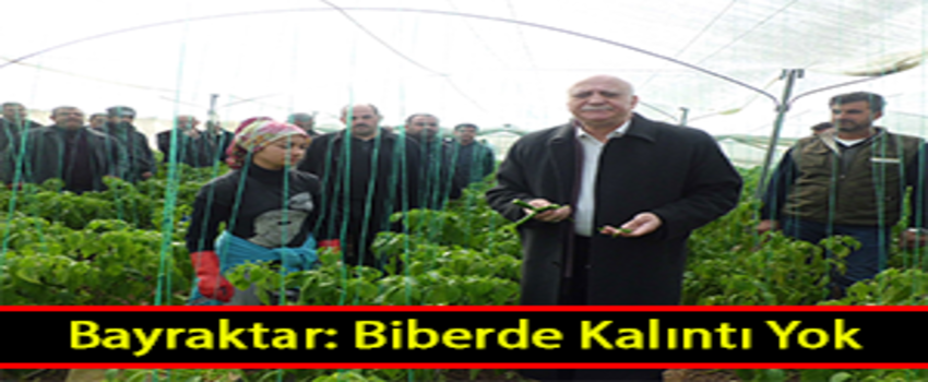 Bayraktar: Kalıntı İddiaları Tamamen Asılsız