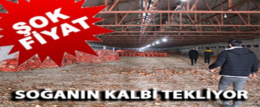 Soğan Depo`da Kaldı, Üretici Dertli