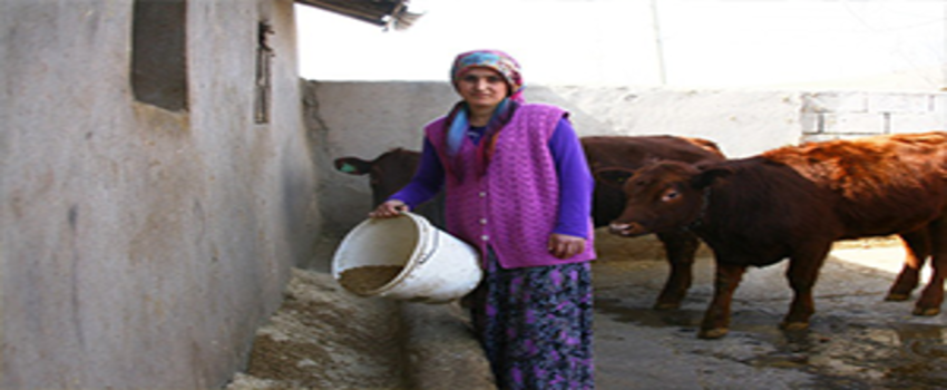 Genç Çiftçi Oldu Hayatı Değişti