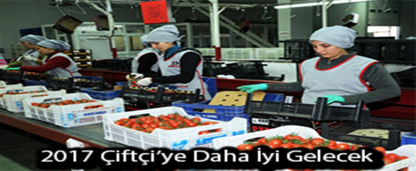 Tarım`da İhracat Geçen Yıla Göre Daha İyi Başladı