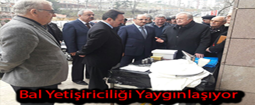 Bal Yetiştiriciliği Yaygınlaşıyor
