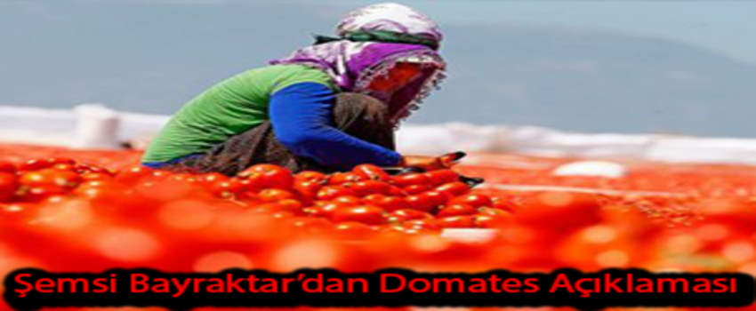 Domatesin Ekonomik Katkısına İlişkin Açıklama