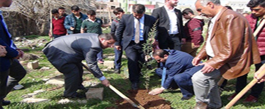 Viranşehir`de Fidan Dikme Kampanyası