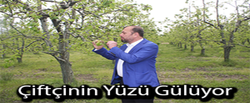 Bu Sene Meyve Bolluğu Yaşanacak