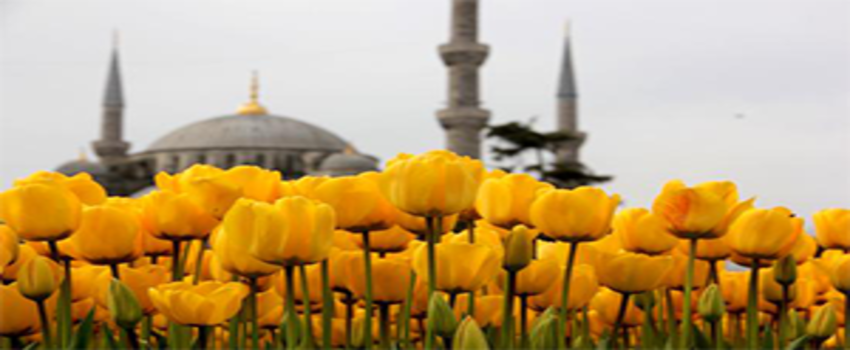 12. İstanbul Lale Festivali Başladı