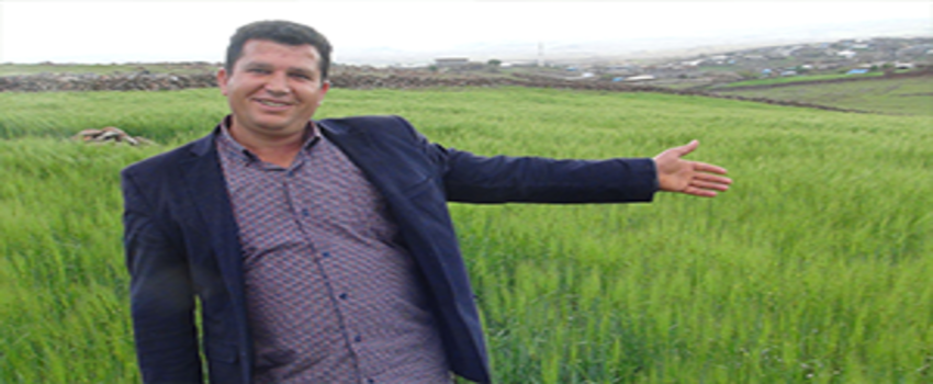 Son Yağışlar Çiftçiyi Sevindirdi