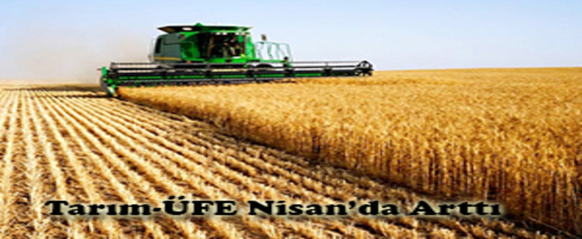 Tarım- ÜFE Nisan`da Arttı