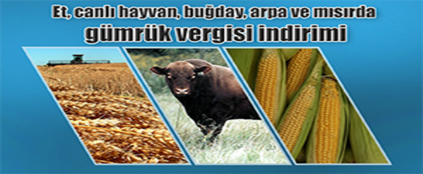 Bayraktar: Gümrük Vergisi İndiriminin, Üreticiyi Etkilememesi Mümkün Değil`